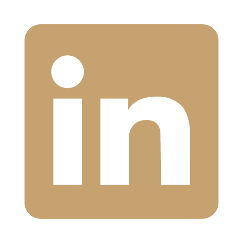 LinkedIn Small Logo