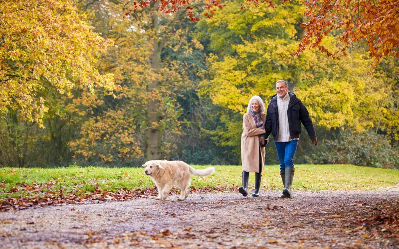 What Is Later Life Lending